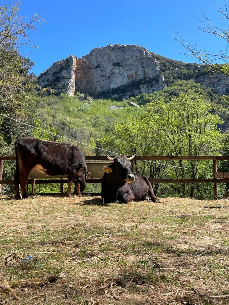 Agricamping Le Terrazze Hotel Orco Feglino Luaran gambar